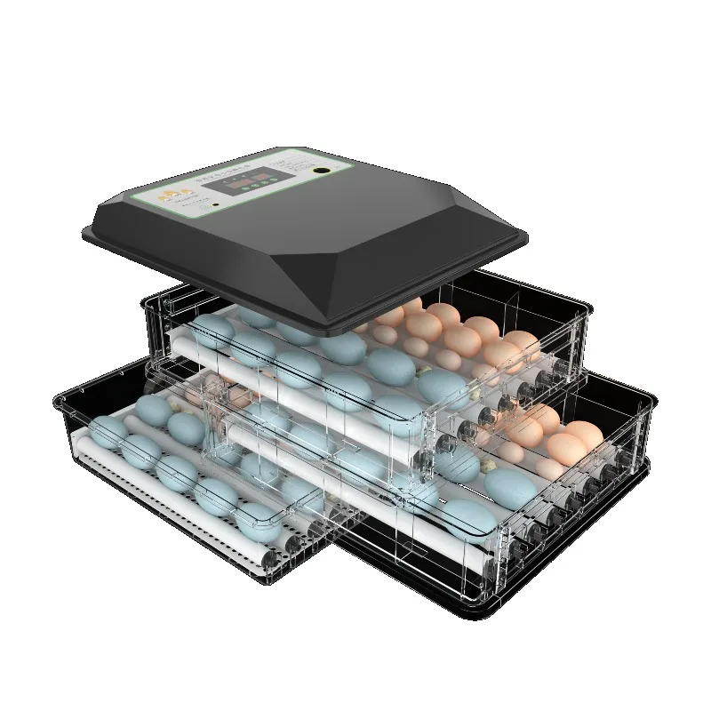Home Use 192-Egg Mini Incubator with Automatic Turning & Dual Power Supply Plastic Material 98% Hatching Rate
Home Use 192-Egg Mini Incubator with Automatic Turning & Dual Power Supply Plastic Material 98% Hatching Rate