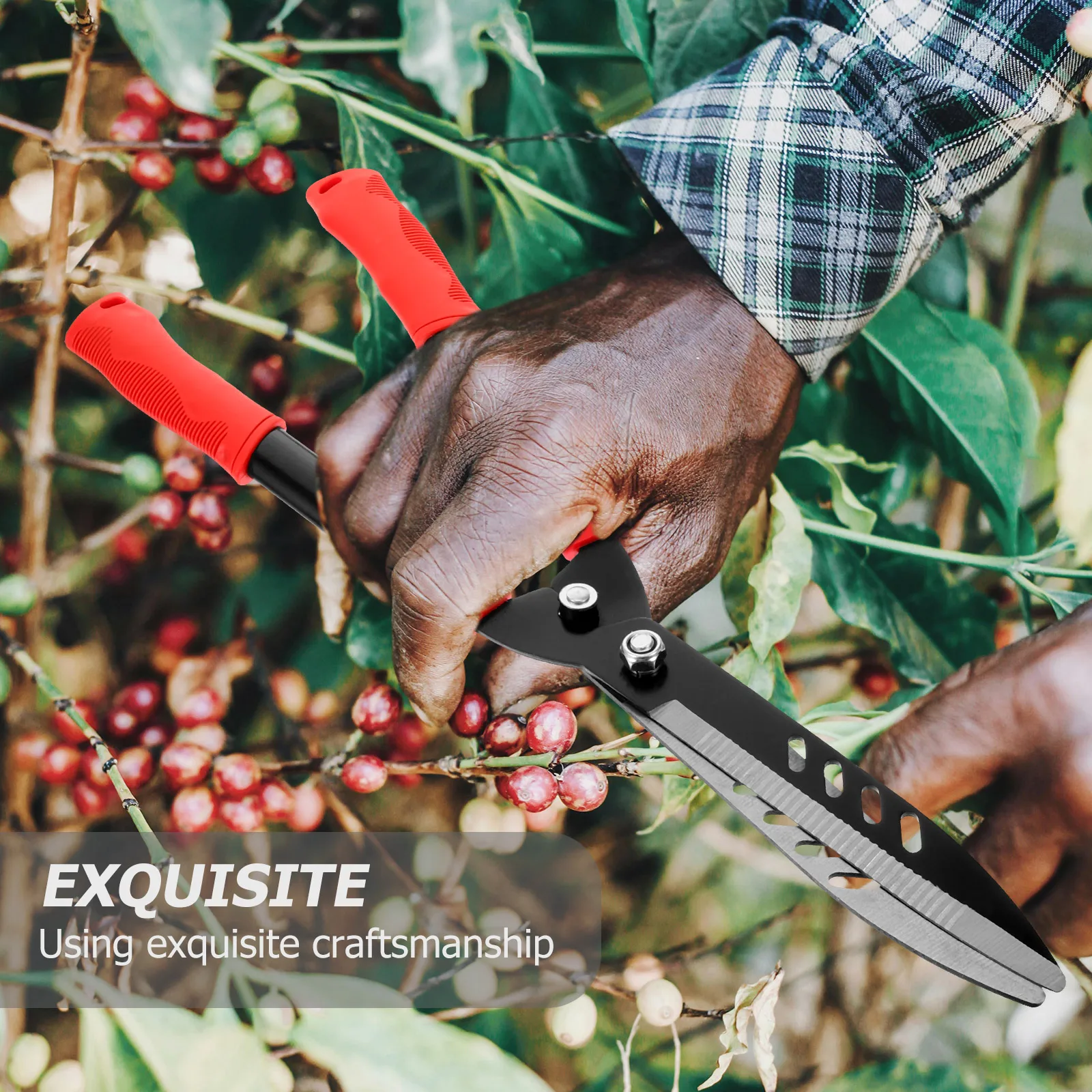 Garden Pruning Tools Hedge Shears Lawn Trimmer Scissors 65Mn Steel Durable Compact Non Slip H Manual Trimming Tools For Lawns
Garden Pruning Tools Hedge Shears Lawn Trimmer Scissors 65Mn Steel Durable Compact Non Slip H Manual Trimming Tools For Lawns
