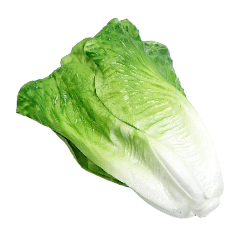 Artificial Lettuce Simulation Prop Lifelike Vegetable Decor Faux Plant Cabbage Fake Vegetables Vibrant Color Model
Artificial Lettuce Simulation Prop Lifelike Vegetable Decor Faux Plant Cabbage Fake Vegetables Vibrant Color Model