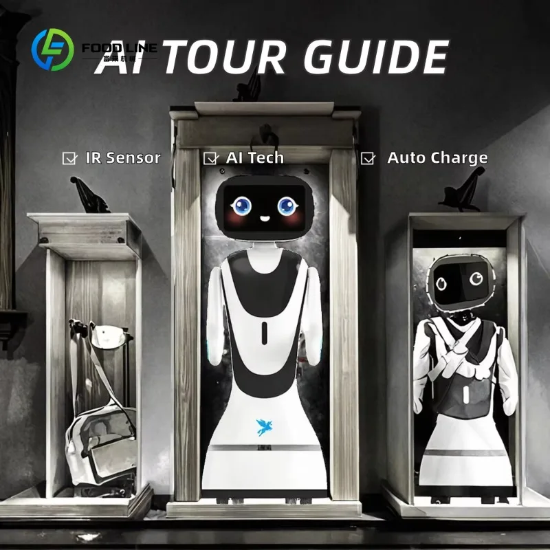 AI Indoor Reception Robot - Welcoming with Voice Guidance, Auto Recharging for Hotel & Office
AI Indoor Reception Robot - Welcoming with Voice Guidance, Auto Recharging for Hotel & Office