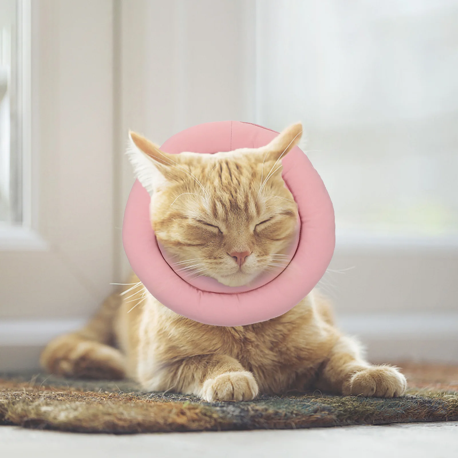 Waterproof Fabric Cat Recovery Collar Durable Breathable Material Anti Bite Licking Cone Neck Ring Pet Supplies For Kitten Wound
Waterproof Fabric Cat Recovery Collar Durable Breathable Material Anti Bite Licking Cone Neck Ring Pet Supplies For Kitten Wound