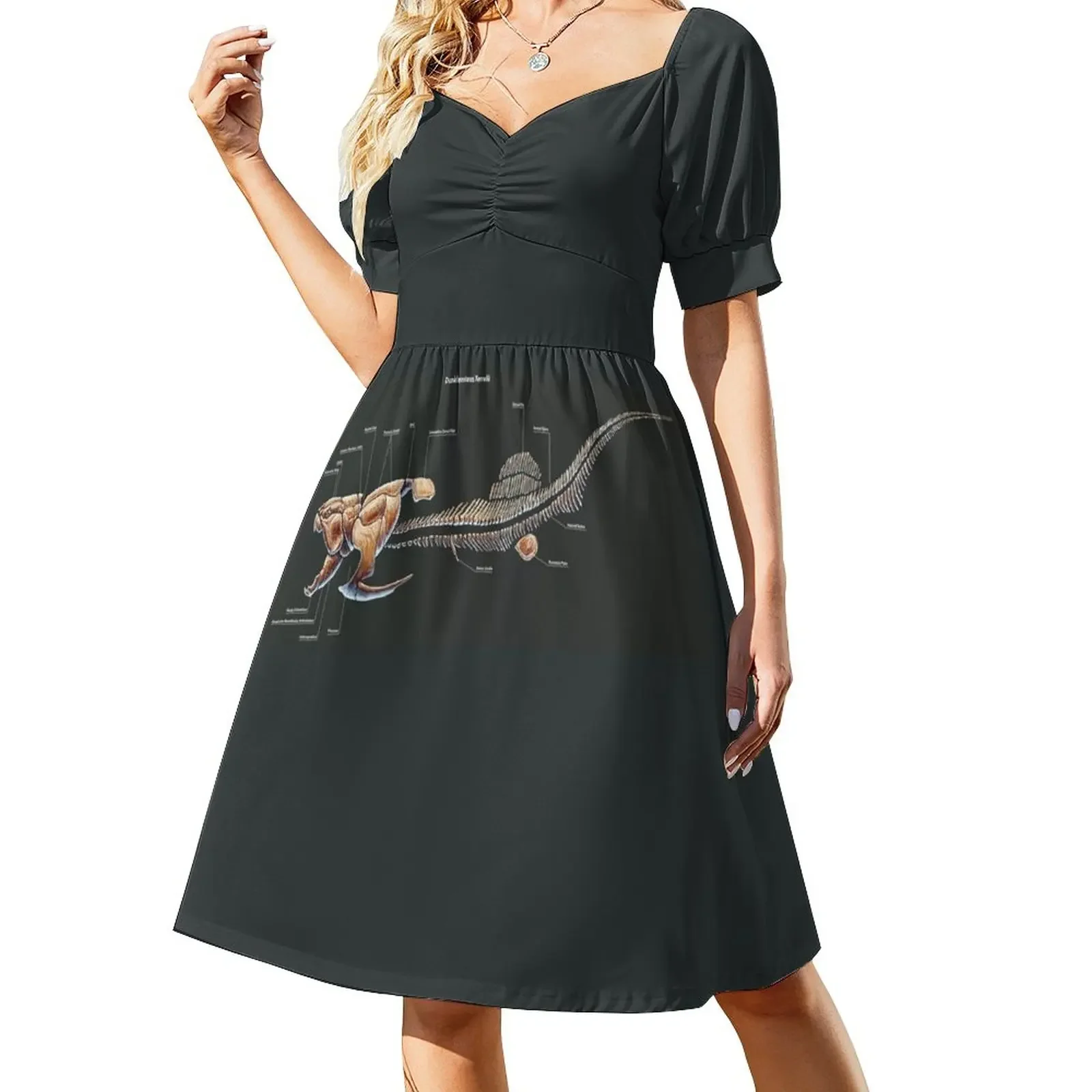 Dunkleosteus Terrelli Skeleton Study Short-Sleeved Dress elegant dress beach dresses luxury evening dress woman for wedding
Dunkleosteus Terrelli Skeleton Study Short-Sleeved Dress elegant dress beach dresses luxury evening dress woman for wedding