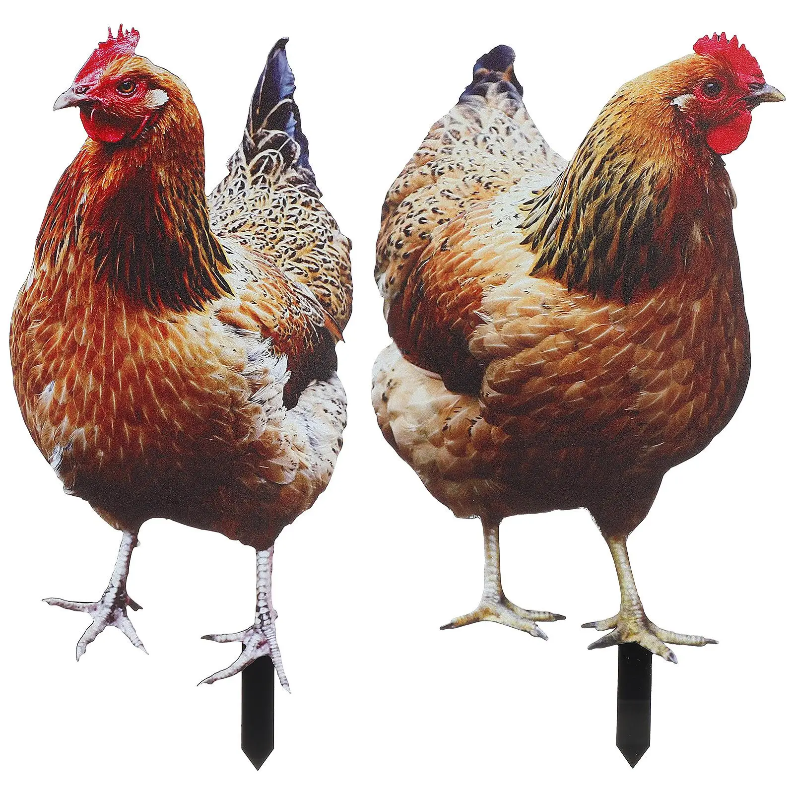 2Pcs Acrylic Garden Decoration Sign Chicken Stake Poultry nament Lawn Accessory Durable UV Resistant Double Sided
2Pcs Acrylic Garden Decoration Sign Chicken Stake Poultry nament Lawn Accessory Durable UV Resistant Double Sided