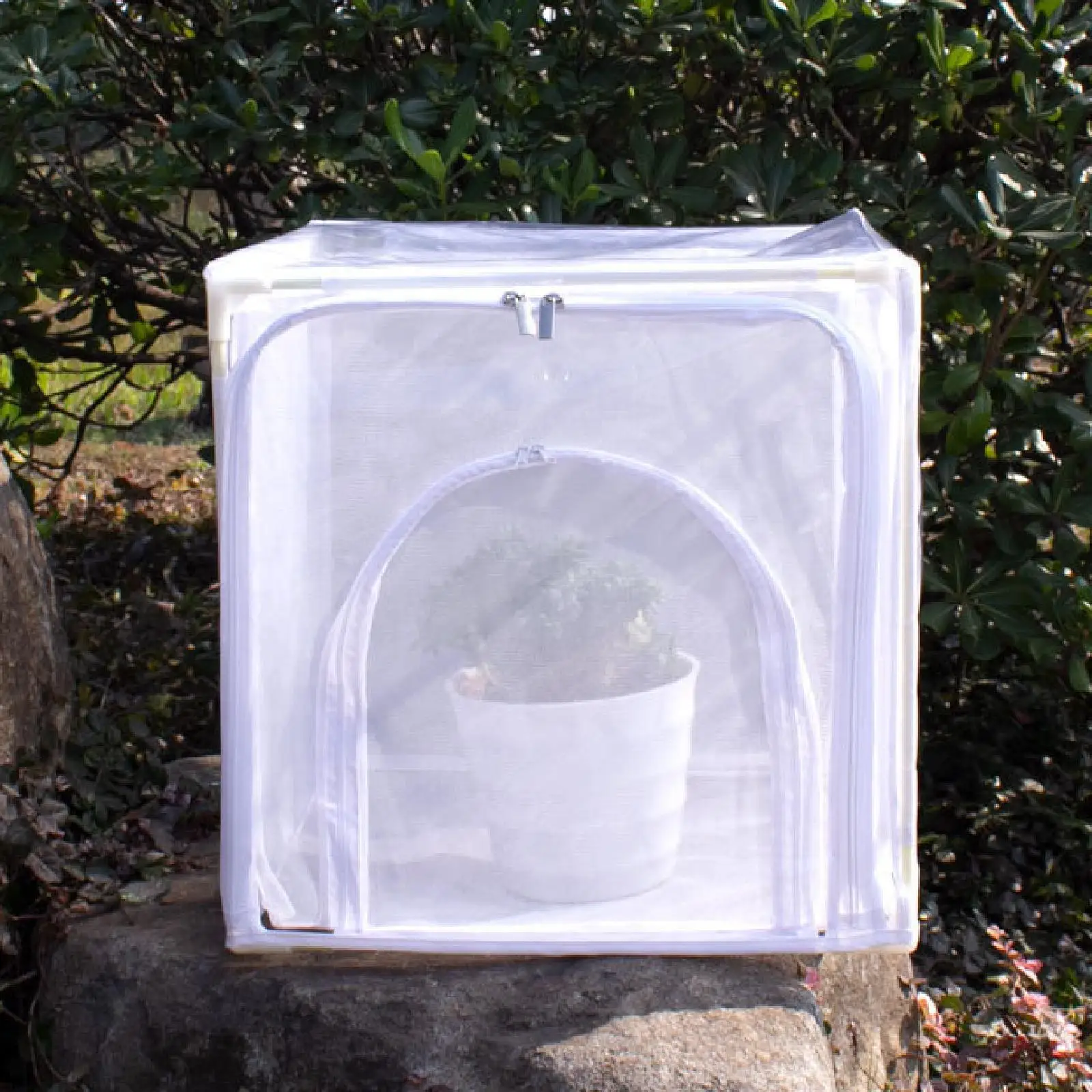 Mini Greenhouse Clear 40x40x40 cm Hot House for Outside Balcony Small Plants
Mini Greenhouse Clear 40x40x40 cm Hot House for Outside Balcony Small Plants