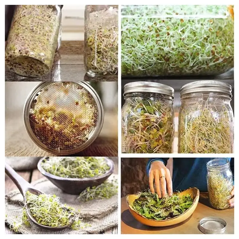 AB46-1 Set Seed Sprouting Jar Kit With 2 Wide Mouth Jars Bean Sprouts Growing Kit Microgreens Growing Jar With Mesh Screen
AB46-1 Set Seed Sprouting Jar Kit With 2 Wide Mouth Jars Bean Sprouts Growing Kit Microgreens Growing Jar With Mesh Screen