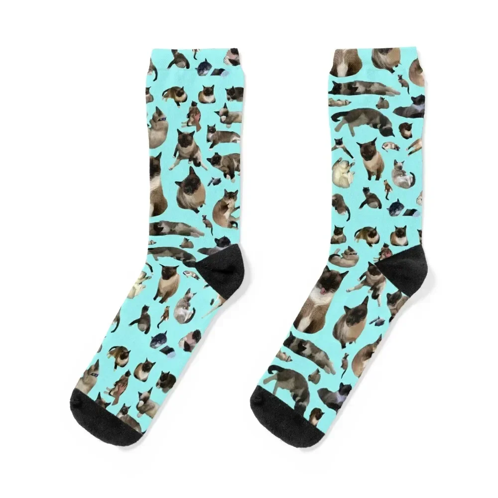 Mojito the Siamese Cat Many Pictures of the Great Moe! Socks moving stockings new year Lots Boy Child Socks Women's
Mojito the Siamese Cat Many Pictures of the Great Moe! Socks moving stockings new year Lots Boy Child Socks Women's