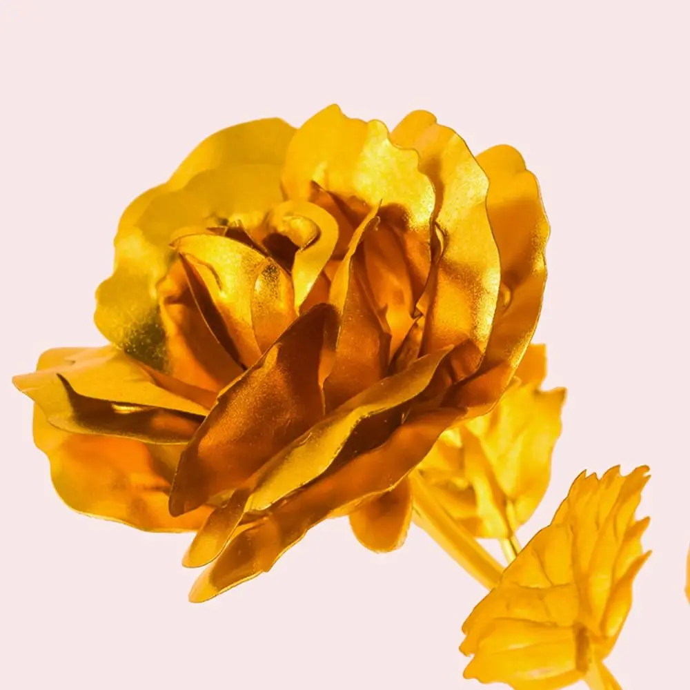 Safe Golden Foil Rose Flower Golden Foil Simulation Artificial Rose Flower Rose Flower Gold Foil Rose Pendant Home Decor
Safe Golden Foil Rose Flower Golden Foil Simulation Artificial Rose Flower Rose Flower Gold Foil Rose Pendant Home Decor