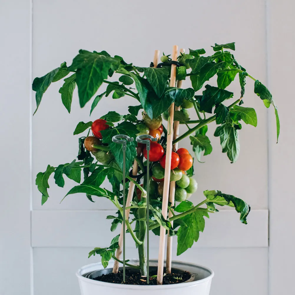 10Pcs Vine Plant Clips Sturdy ABS Climbing Support for Potted Plants Indoor Garden Stake Decorative Plant Holder Rack for Patio
10Pcs Vine Plant Clips Sturdy ABS Climbing Support for Potted Plants Indoor Garden Stake Decorative Plant Holder Rack for Patio