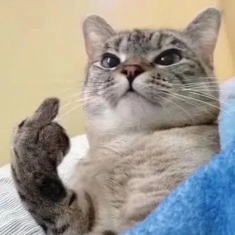 Alloy Chassis Receiver Plate for WL 244016 LOSI Micro-B 1/24 RC Model Car Buggy Upgrade Parts
Alloy Chassis Receiver Plate for WL 244016 LOSI Micro-B 1/24 RC Model Car Buggy Upgrade Parts