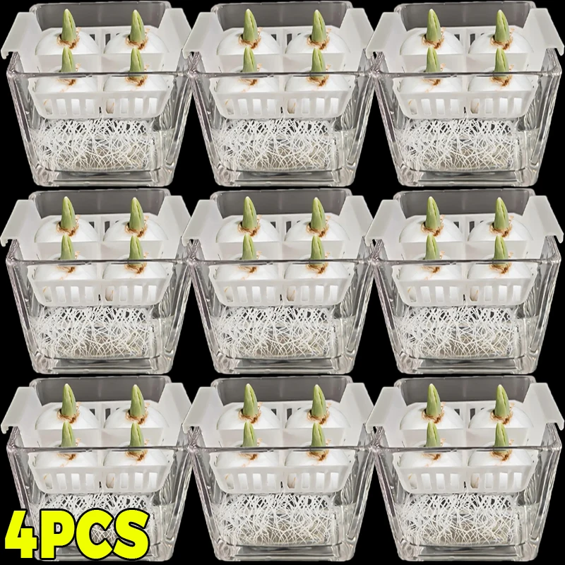 Tulip Hydroponic Containers Acrylic Root Monitor Square Basin 4 Hole Basket Garden Hydroponic Planter Indoor Table Decoration
Tulip Hydroponic Containers Acrylic Root Monitor Square Basin 4 Hole Basket Garden Hydroponic Planter Indoor Table Decoration