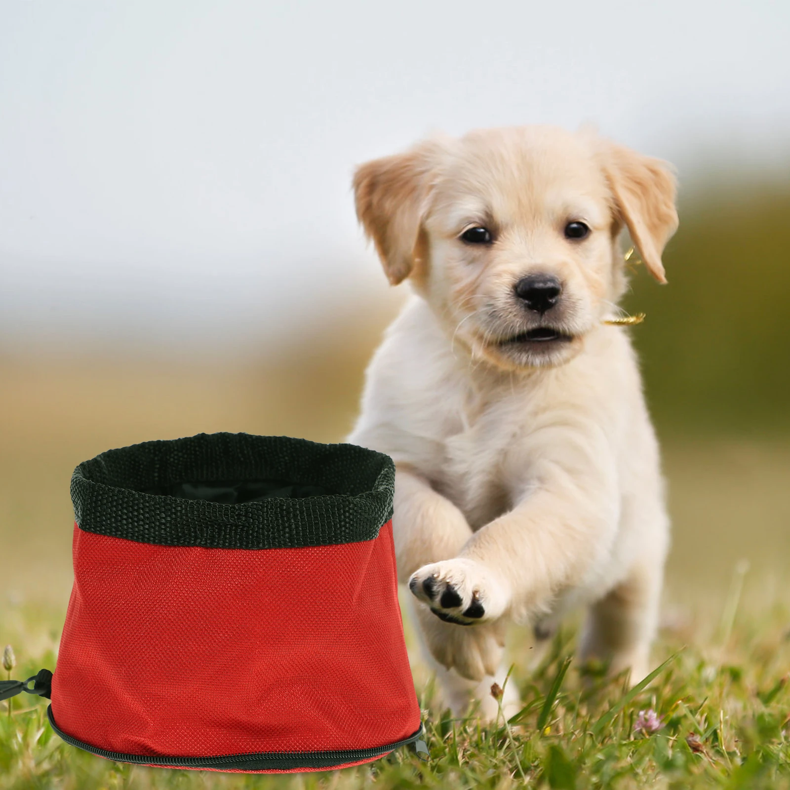 2Pcs Waterproof Foldable Pet Bowls Portable Expandable Cup Camping Travel Durable Dog Bowl Storage
2Pcs Waterproof Foldable Pet Bowls Portable Expandable Cup Camping Travel Durable Dog Bowl Storage