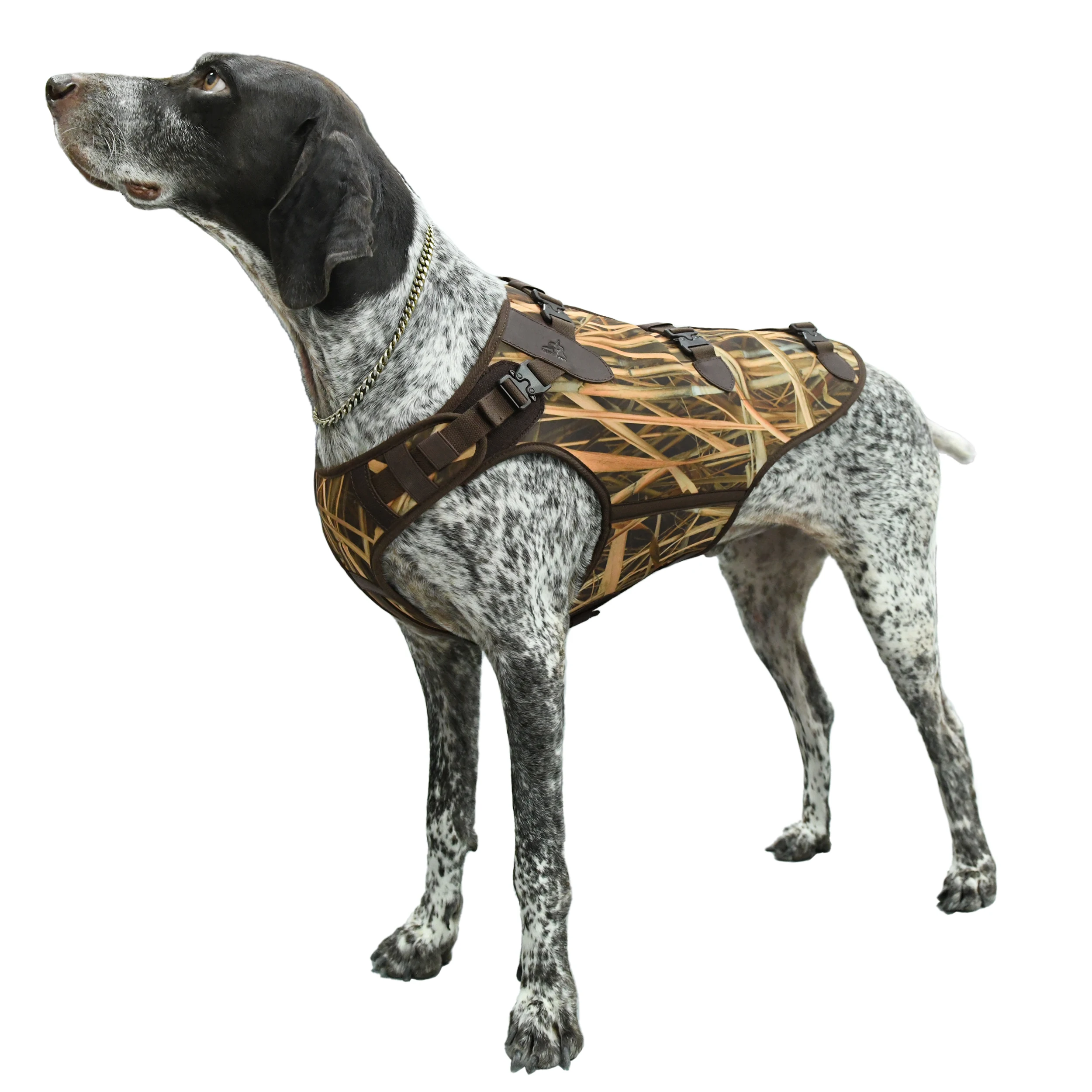 Hunting Shooting Tactical Dog Harness Adjustable Dog Vest - Camouflage Neoprene
Hunting Shooting Tactical Dog Harness Adjustable Dog Vest - Camouflage Neoprene