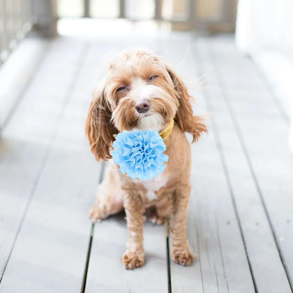 20 Pcs Headwear Colorful Flower Decorations Accessories for Dogs Cats Small Pets Birthday Halloween Christmas Gift
20 Pcs Headwear Colorful Flower Decorations Accessories for Dogs Cats Small Pets Birthday Halloween Christmas Gift