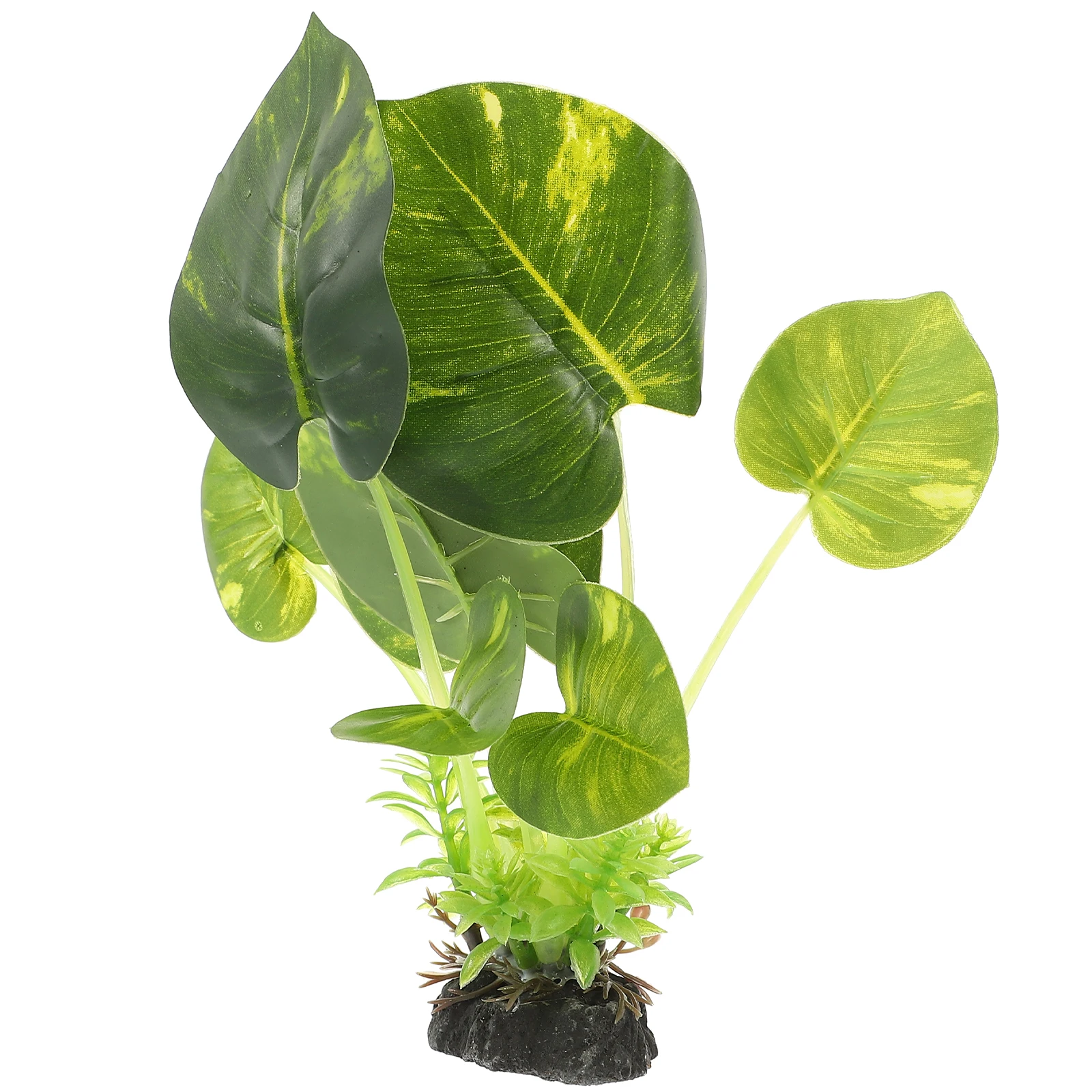 Aquarium Decorations Realistic Plants Plastic Fish Tank Simulated Betta Resting L scaping Leaf Grass Faux Accessories Lifelike
Aquarium Decorations Realistic Plants Plastic Fish Tank Simulated Betta Resting L scaping Leaf Grass Faux Accessories Lifelike