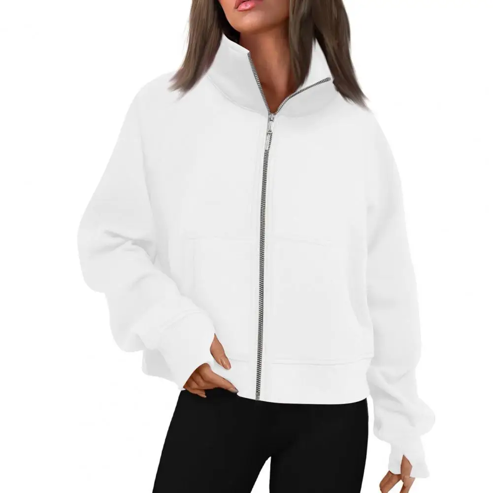 Stylish Versatile Women Sweatshirt Lightweight Polyester Sweatshirt Cozy Women's Sweater Stylish Long Zipper Soft Texture
Stylish Versatile Women Sweatshirt Lightweight Polyester Sweatshirt Cozy Women's Sweater Stylish Long Zipper Soft Texture