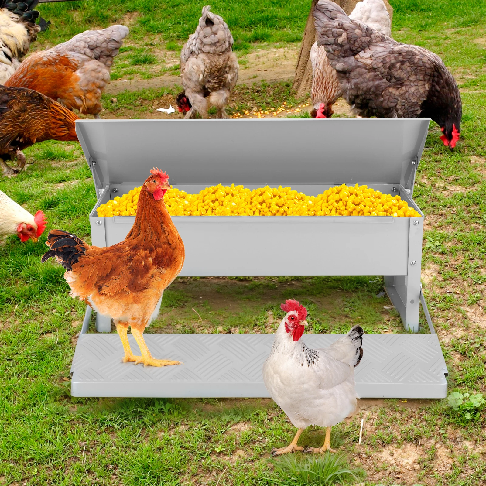 Treadle Chicken Feeder with Weatherproof Lid Rat Proof Chicken Feeder Metal Chicken Feeder for Chickens Geese Ducks Turkeys
Treadle Chicken Feeder with Weatherproof Lid Rat Proof Chicken Feeder Metal Chicken Feeder for Chickens Geese Ducks Turkeys