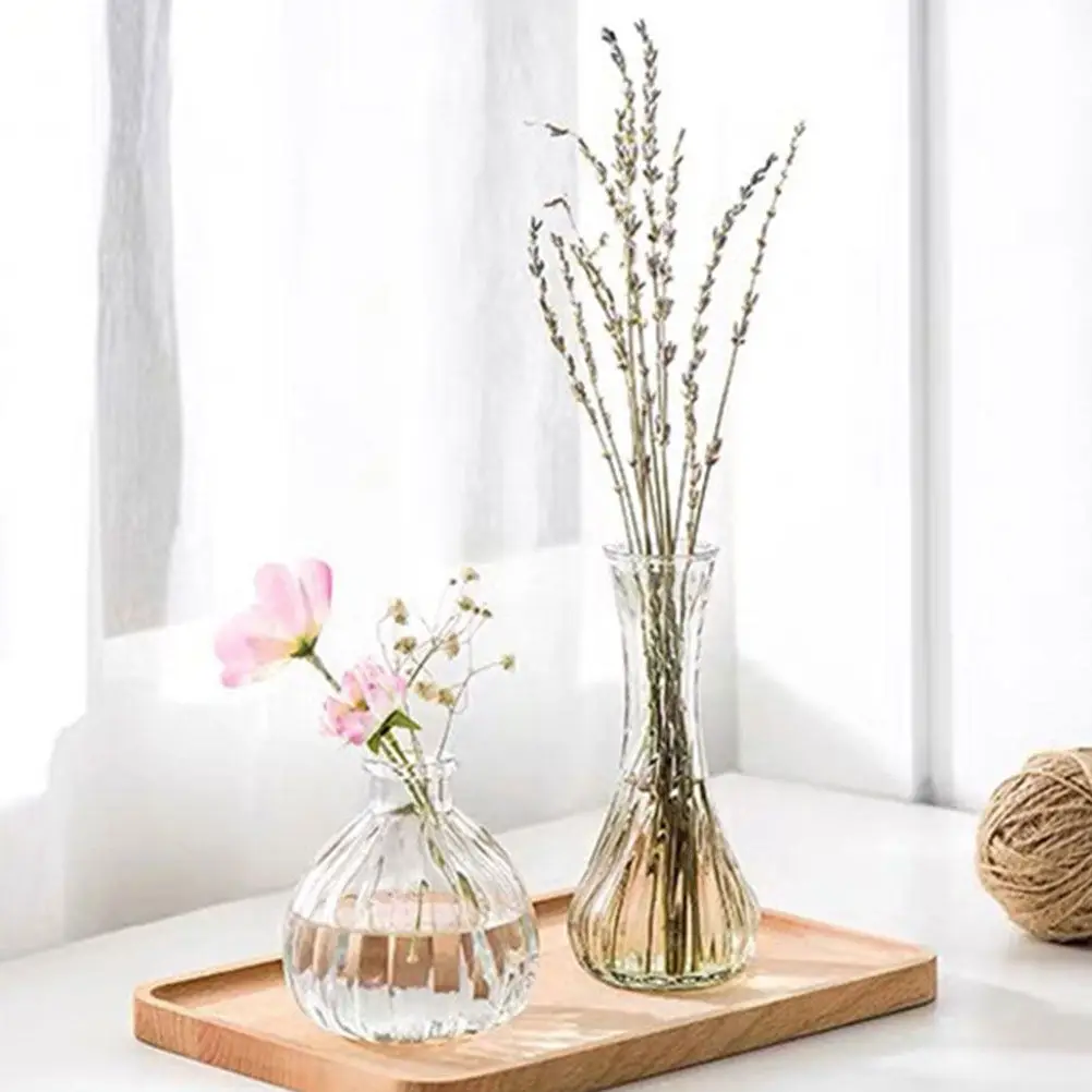 Набор из 3 стеклянных ваз для цветов: простой и элегантный дизайн, контейнеры для гидропоники, декоративные вазы для дома и офиса
Набор из 3 стеклянных ваз для цветов: простой и элегантный дизайн, контейнеры для гидропоники, декоративные вазы для дома и офиса