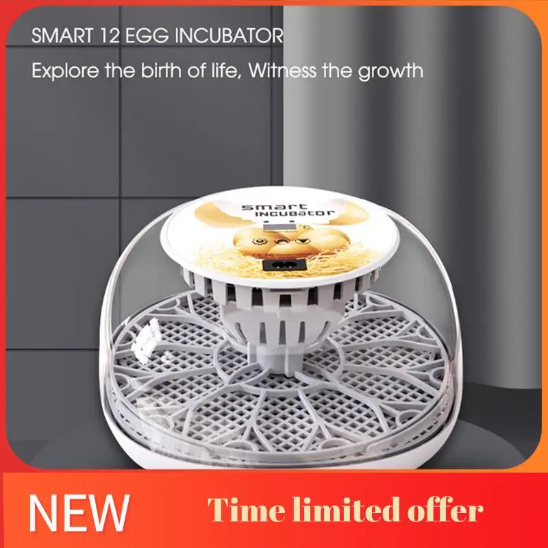Egg Incubator With Auto Egg-Turning, Auto Water Refill, For Hatching Chicken Pigeon EU Plug
Egg Incubator With Auto Egg-Turning, Auto Water Refill, For Hatching Chicken Pigeon EU Plug