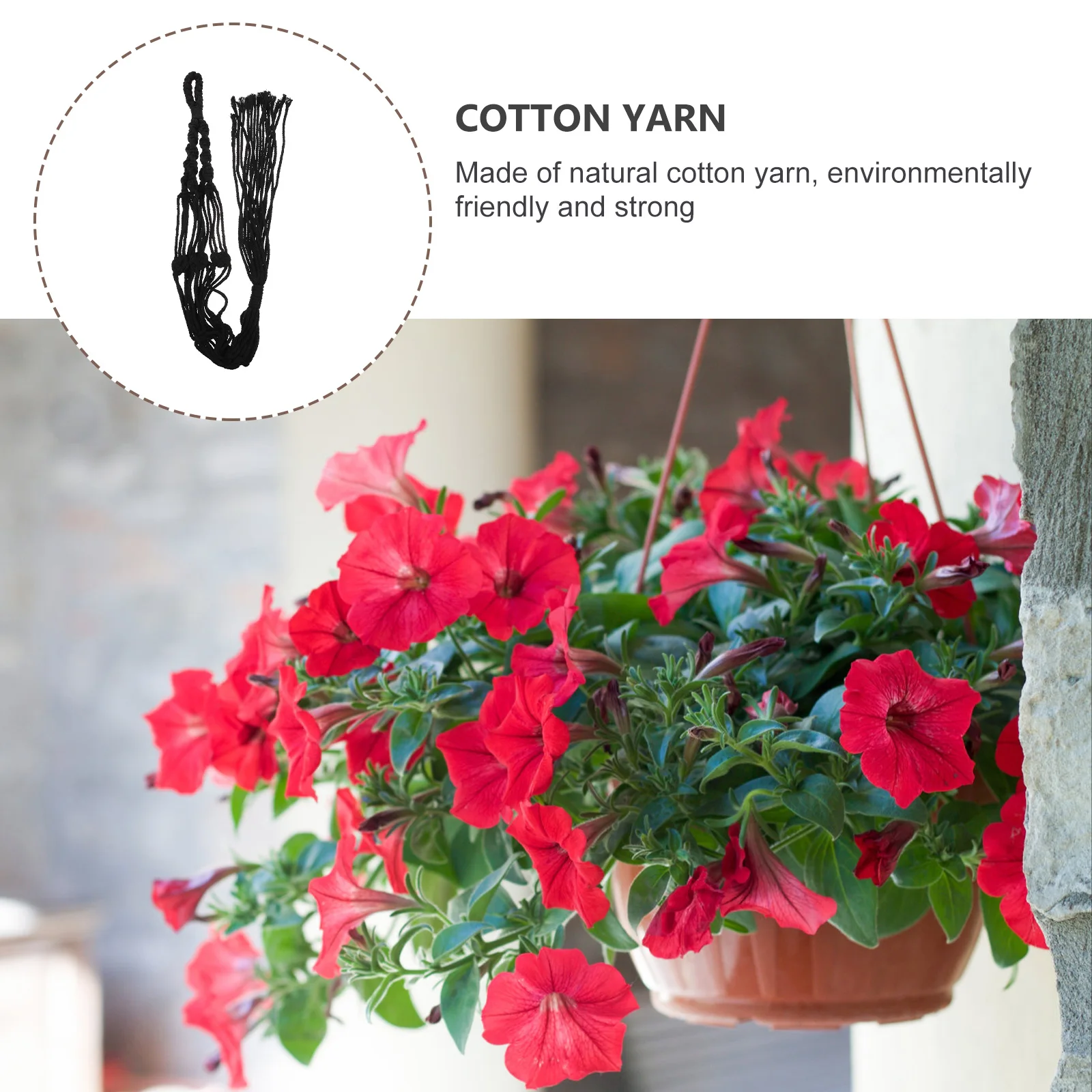 2Pcs Hanging Plant Holders Hand-Woven Cotton Rope Net Bags Sturdy Eco-Friendly Plant Pot Hangers Indoor Outdoor Balcony Garden
2Pcs Hanging Plant Holders Hand-Woven Cotton Rope Net Bags Sturdy Eco-Friendly Plant Pot Hangers Indoor Outdoor Balcony Garden