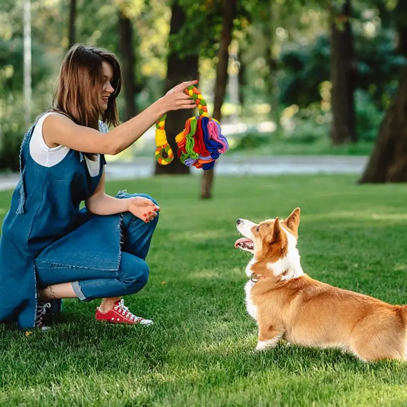 Snuffle Ball For Dogs Dog Snuffle Ball Toy Foraging Ball Interactive Dog Snuffle Ball Toy Foraging Ball Dog Feeding Foraging
Snuffle Ball For Dogs Dog Snuffle Ball Toy Foraging Ball Interactive Dog Snuffle Ball Toy Foraging Ball Dog Feeding Foraging
