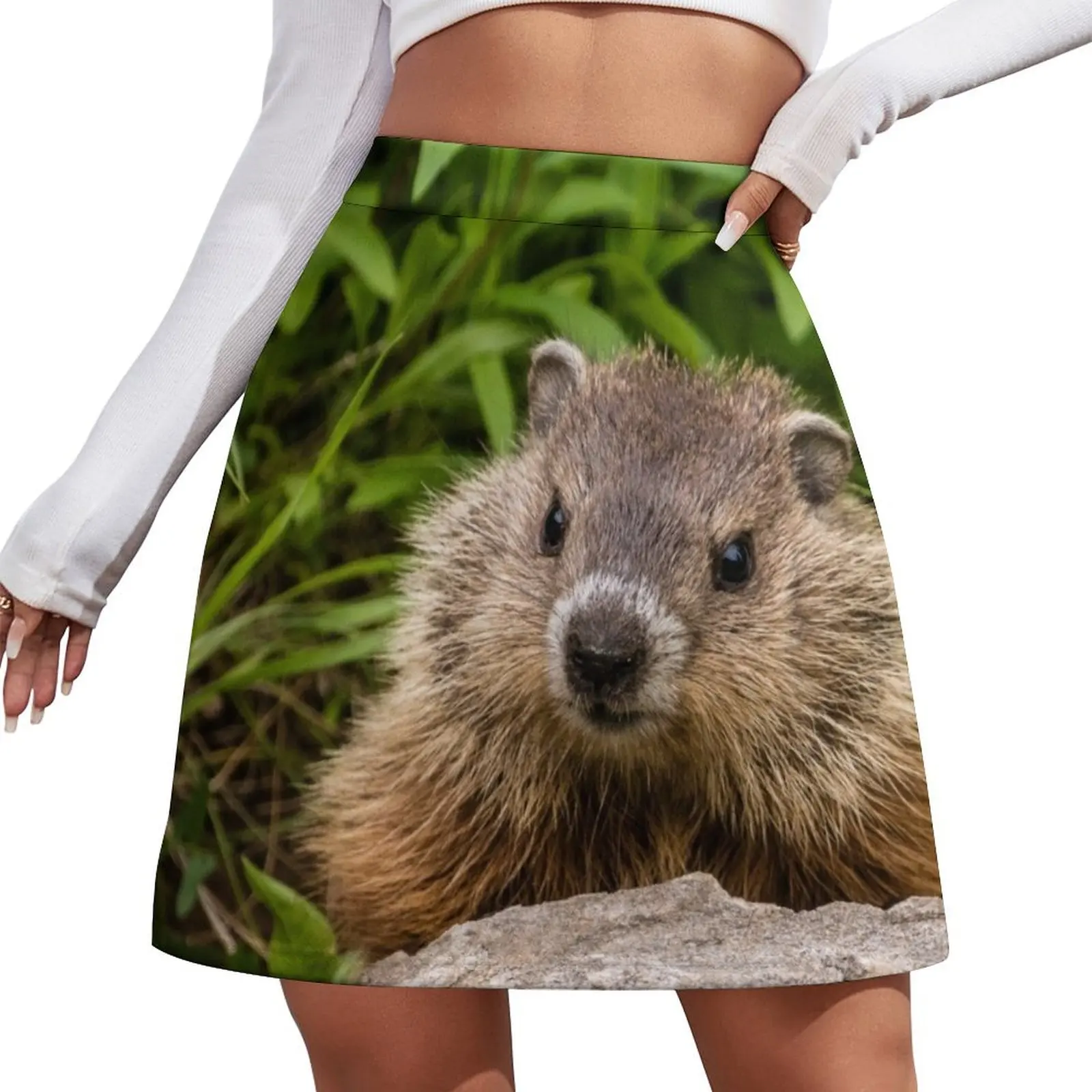 Groundhog Mini Skirt modest skirts for women Korean skirts luxury clothes women skirt for women Mini Skirt
Groundhog Mini Skirt modest skirts for women Korean skirts luxury clothes women skirt for women Mini Skirt