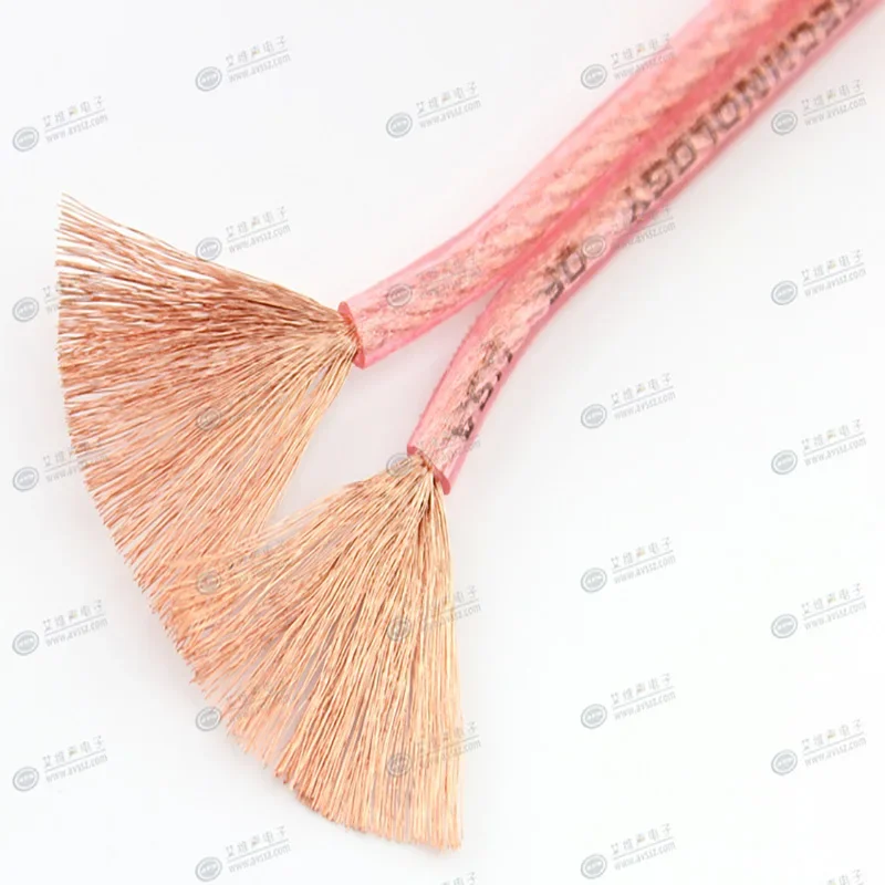 HIFI 4N OxygenFree Copper Audio Cable ETB2*2.5 Square 322 Core Pure Copper Speaker Cable Fever Multi Speaker Amplifier Connector
HIFI 4N OxygenFree Copper Audio Cable ETB2*2.5 Square 322 Core Pure Copper Speaker Cable Fever Multi Speaker Amplifier Connector
