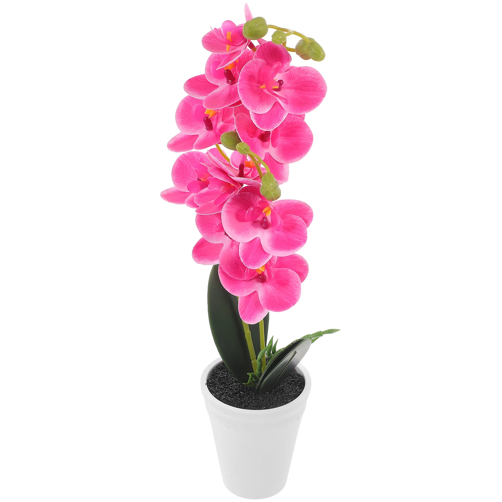 Artificial Potted Decorative Plant in Pot Lifelike Bonsai Faux Flower In Pot for Room OfficeFake Plants
Artificial Potted Decorative Plant in Pot Lifelike Bonsai Faux Flower In Pot for Room OfficeFake Plants