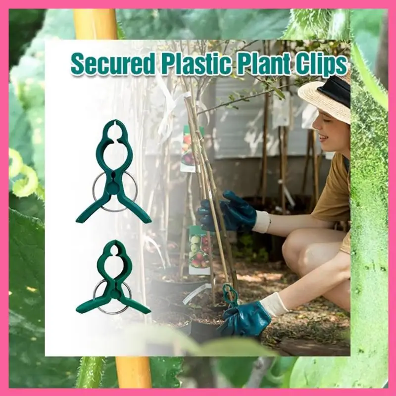 HOT-Fixed Plastic Plant Clips, Plant Support Clips Plant Clips For Climbing Plants, Fixed Plant Vine Clips For Garden Vines
HOT-Fixed Plastic Plant Clips, Plant Support Clips Plant Clips For Climbing Plants, Fixed Plant Vine Clips For Garden Vines