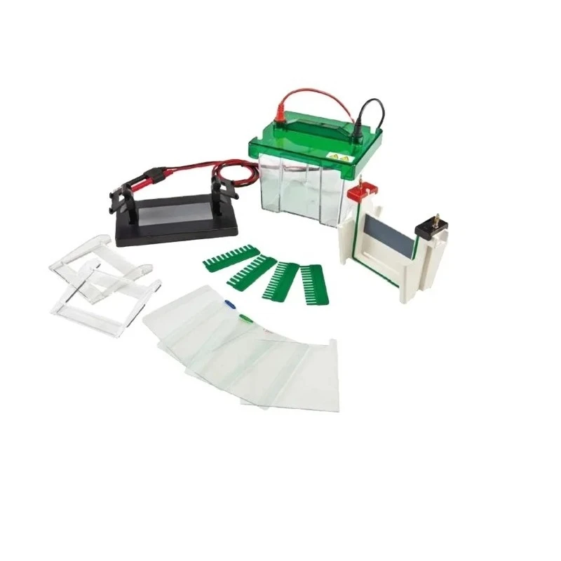 Vertical Electrophoresis Cell, DW-SCZ2 + with Power Supply, Biochemistry Laboratory
Vertical Electrophoresis Cell, DW-SCZ2 + with Power Supply, Biochemistry Laboratory