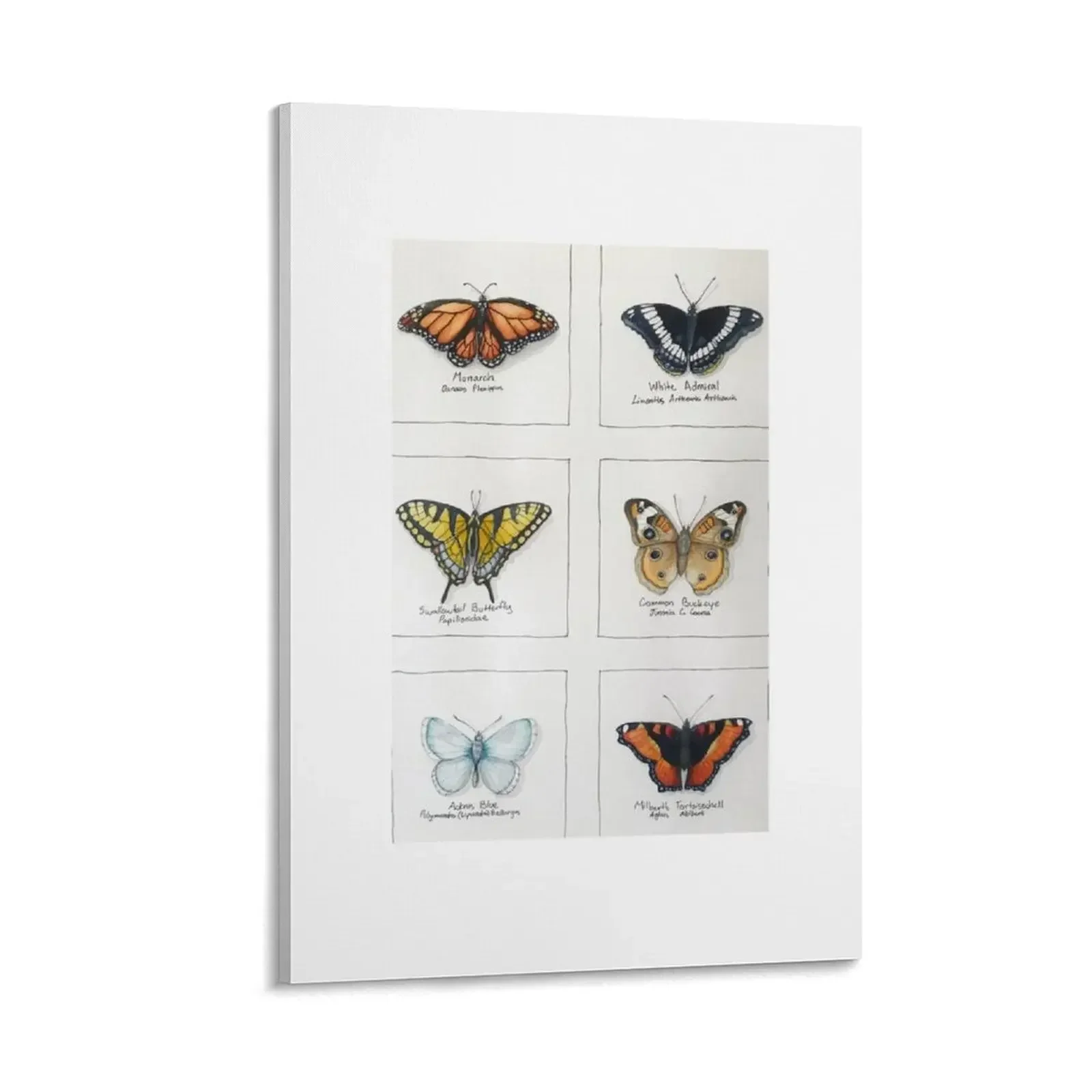 Butterflies Canvas Painting Decorative painting for bedroom posters for wall modern home decoration pictures for wall
Butterflies Canvas Painting Decorative painting for bedroom posters for wall modern home decoration pictures for wall
