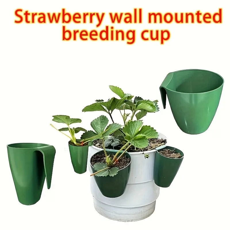 6/10pcs Strawberry Propagation Cup, Greenhouse Seedling Flowerpot Planting, Transplanting Seedling Pot, Breathable Cutting
6/10pcs Strawberry Propagation Cup, Greenhouse Seedling Flowerpot Planting, Transplanting Seedling Pot, Breathable Cutting