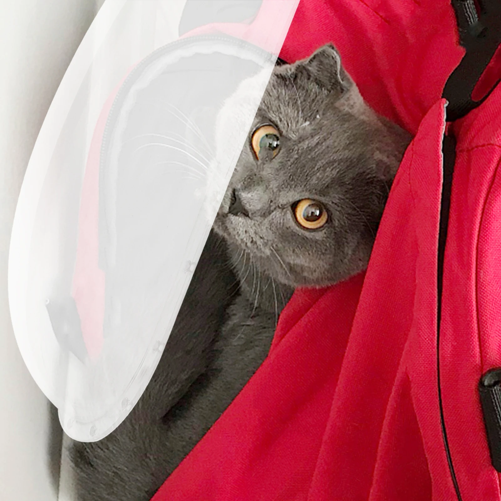 DIY Transparent Space Cover Backpack 320MMx125MM Pet Carrier Window Dome Acrylic Bubble Travel Small Pets Dog Cat Replacement
DIY Transparent Space Cover Backpack 320MMx125MM Pet Carrier Window Dome Acrylic Bubble Travel Small Pets Dog Cat Replacement