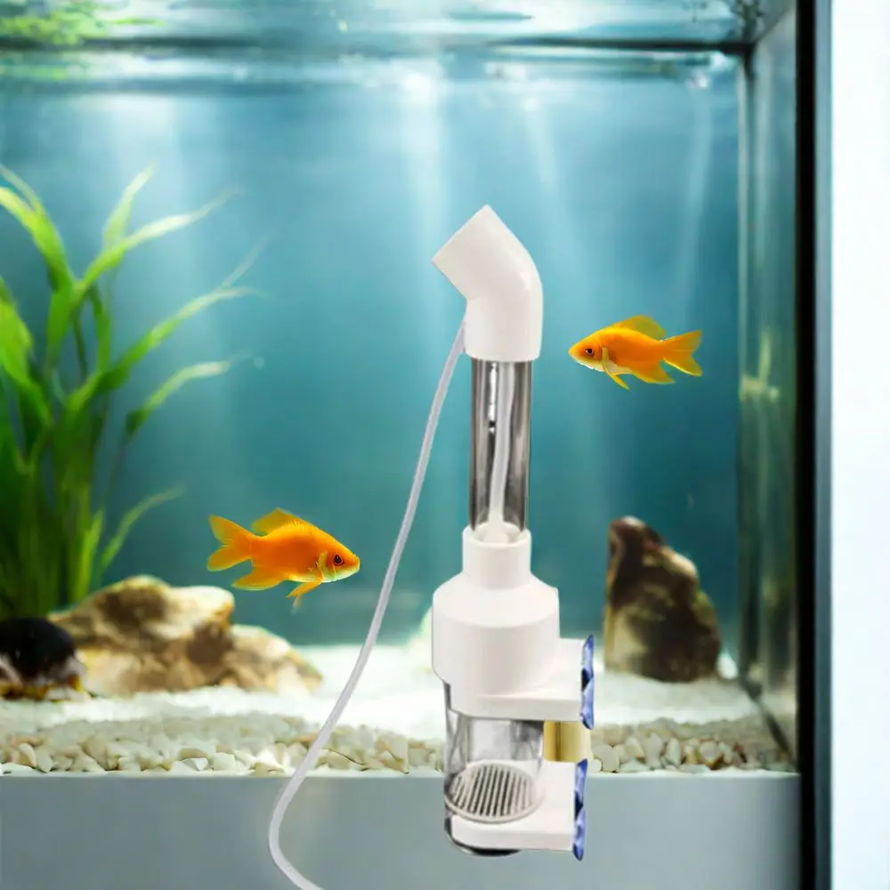 Plastic Fish Egg Incubator White Prevent Fungus Cichlid Tumbler Hatchery Simulate Natural Incubation Ornamental Fish
Plastic Fish Egg Incubator White Prevent Fungus Cichlid Tumbler Hatchery Simulate Natural Incubation Ornamental Fish