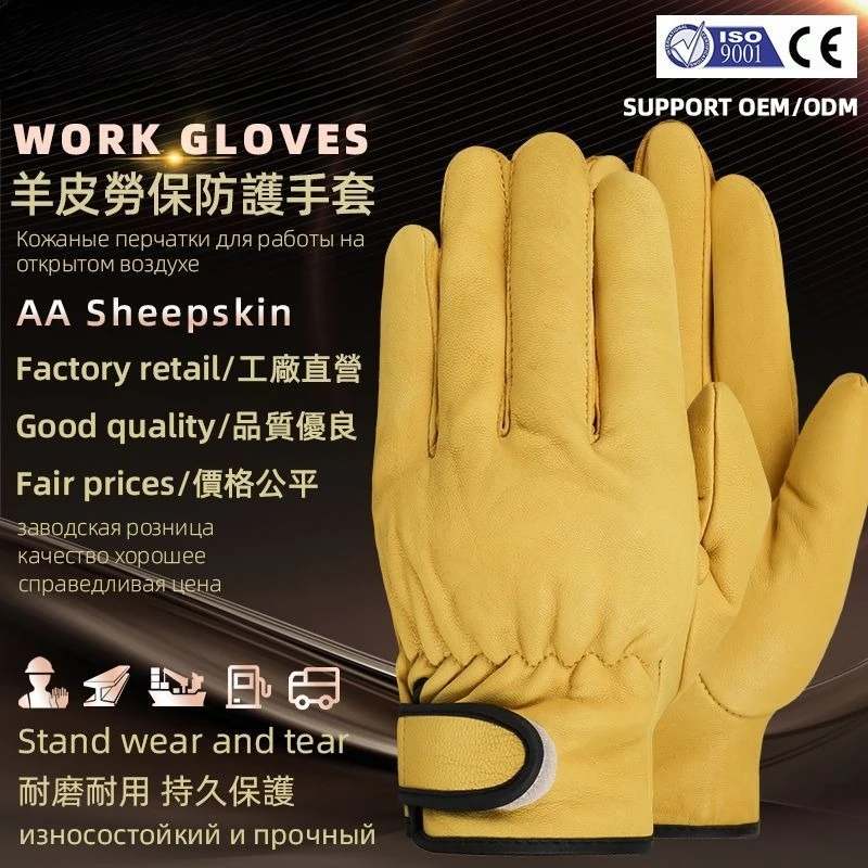 Sheepskin Protective Gloves - Abrasion-Resistant, Soft Breathable Universal for Work Constructio, Cycling & Outdoor Activities
Sheepskin Protective Gloves - Abrasion-Resistant, Soft Breathable Universal for Work Constructio, Cycling & Outdoor Activities