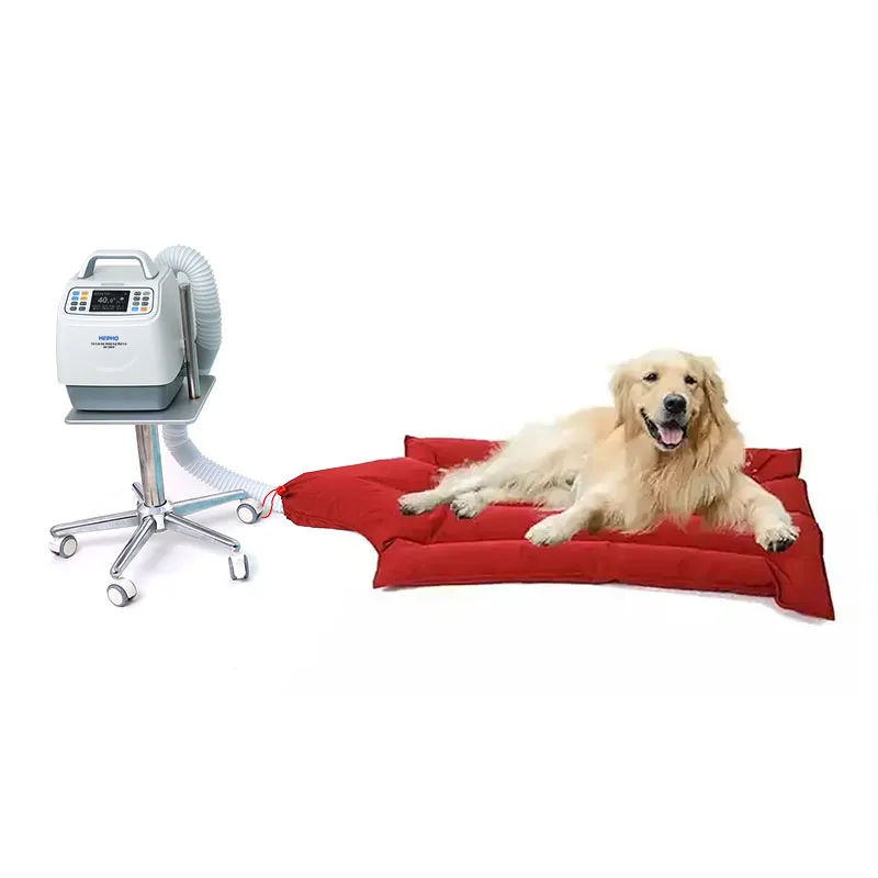 Veterinary Automatic Air Warming System Vet Warm Bed For Pets Veterinary Animal Patient Air Warming Blanket
Veterinary Automatic Air Warming System Vet Warm Bed For Pets Veterinary Animal Patient Air Warming Blanket