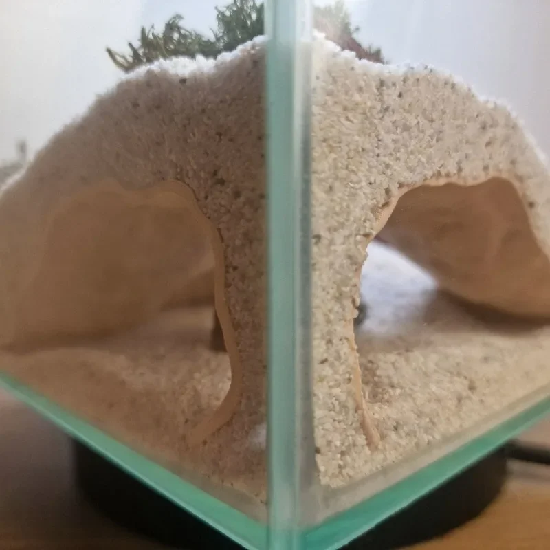 3D Printed PETG Fish Tank Underground Cave Shelter for Small Fish Shrimp Reptile Hidding Resting, Aqaurium Decorations Ornaments
3D Printed PETG Fish Tank Underground Cave Shelter for Small Fish Shrimp Reptile Hidding Resting, Aqaurium Decorations Ornaments