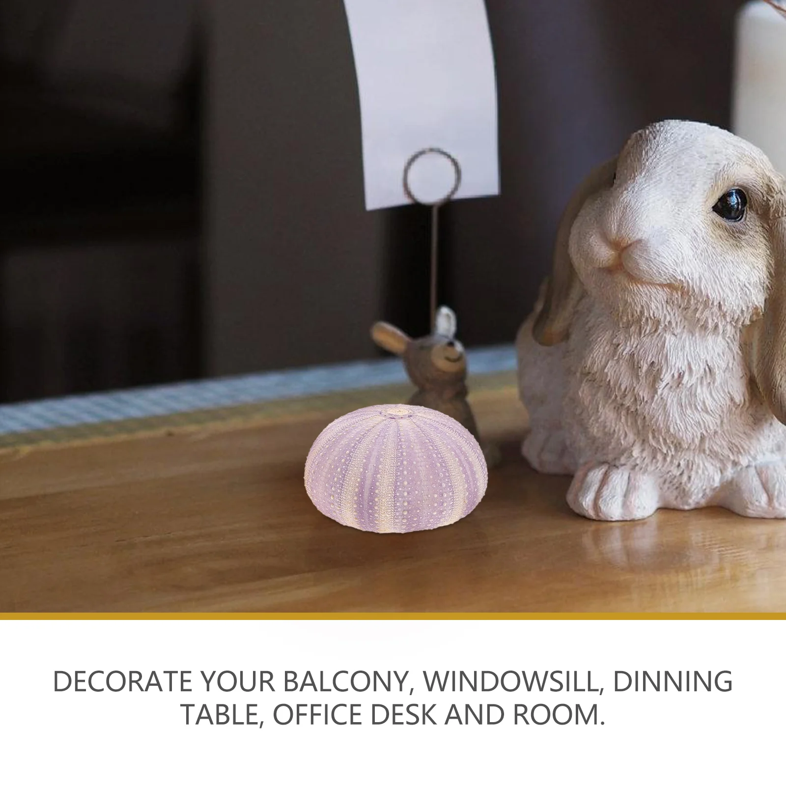 3 Pcs Sea Shells Dried Ornament Small Holder Desktop Home Office Decor Unique Shape Material Safe
3 Pcs Sea Shells Dried Ornament Small Holder Desktop Home Office Decor Unique Shape Material Safe