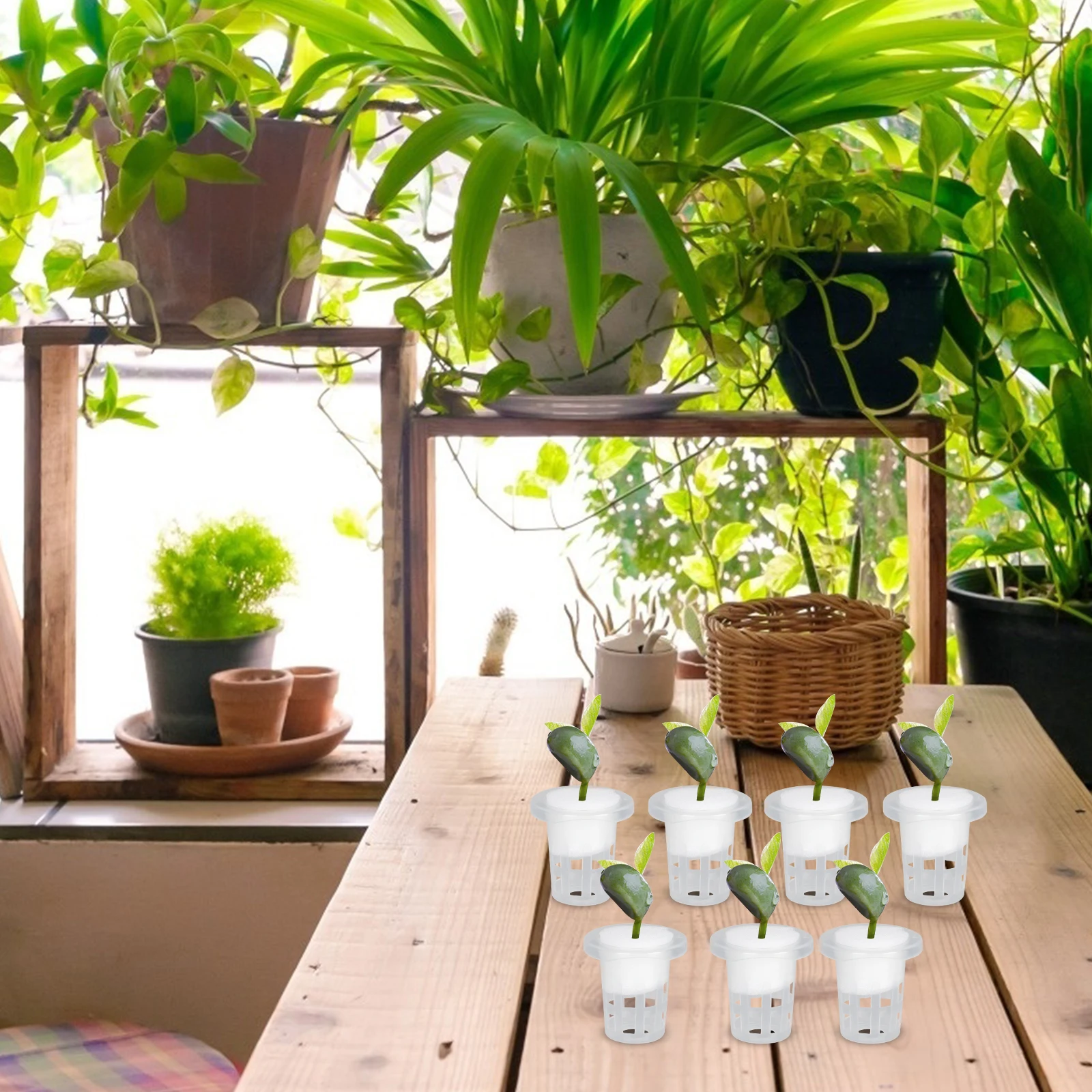 100 pcs Hydroponic Planting Baskets Root Cups for Vegetable Growth Moisture Retention Soilless Cultivation Containers Gardening
100 pcs Hydroponic Planting Baskets Root Cups for Vegetable Growth Moisture Retention Soilless Cultivation Containers Gardening