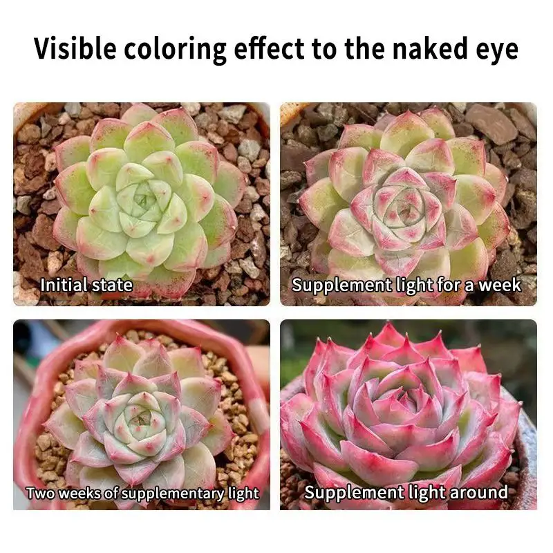 USB LED Plant Grow Light Indoor Garden 10 Dimmable Levels Grow Light Full Spectrum Timer Setting Hydroponic Greenhouse 3H/9H/12H
USB LED Plant Grow Light Indoor Garden 10 Dimmable Levels Grow Light Full Spectrum Timer Setting Hydroponic Greenhouse 3H/9H/12H