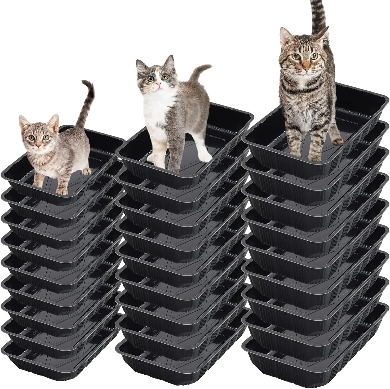 30 Pcs Disposable Litter Boxes for Growing Cat, Plastic Cat Litter Trays, 3 Sizes 16.5 x 11 Inches/ 11.8 x 9.8 Inches/1
30 Pcs Disposable Litter Boxes for Growing Cat, Plastic Cat Litter Trays, 3 Sizes 16.5 x 11 Inches/ 11.8 x 9.8 Inches/1