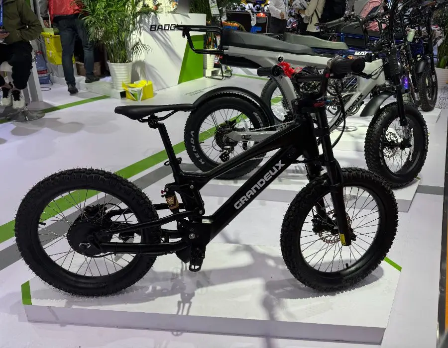 Children's Bike Lithium Battery 10ah Hub Drive Children's Downhill Ebike 36V750W Full Suspension Soft Tail For Kids
Children's Bike Lithium Battery 10ah Hub Drive Children's Downhill Ebike 36V750W Full Suspension Soft Tail For Kids