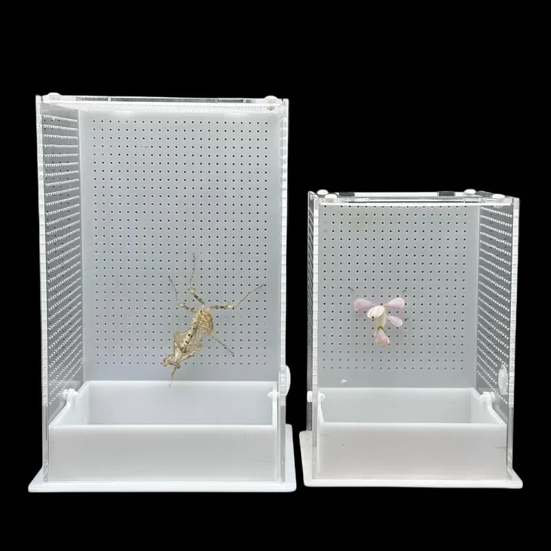 Magnetic Suction Open Door Pet Feeding Terrarium for Mantis Tree Frog Jumping Spider Reptile Amphibian Landscape Living
Magnetic Suction Open Door Pet Feeding Terrarium for Mantis Tree Frog Jumping Spider Reptile Amphibian Landscape Living