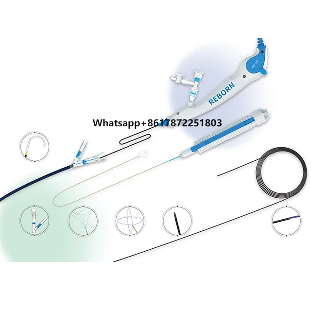 Innovative Urology Flexible Ureteroscope: Endoscopic Solution for Hospital Urological Procedures
Innovative Urology Flexible Ureteroscope: Endoscopic Solution for Hospital Urological Procedures