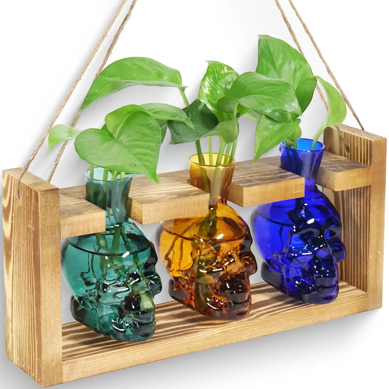 Plant Propagation Stations Hydroponics Halloween Decorations Skull Planter Vase Skulls Home Decor with Wooden Stand Gift
Plant Propagation Stations Hydroponics Halloween Decorations Skull Planter Vase Skulls Home Decor with Wooden Stand Gift