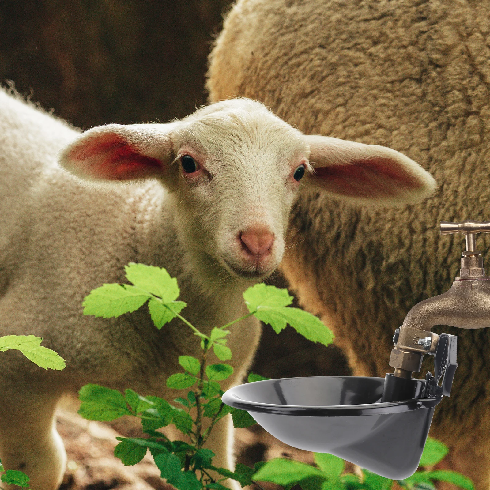 Automatic Metal Water Feeder For Livestock Rustproof Durable Sheep Cow Goat Pet Bowl Stable Farm Use Large Capacity Sheep Feeder
Automatic Metal Water Feeder For Livestock Rustproof Durable Sheep Cow Goat Pet Bowl Stable Farm Use Large Capacity Sheep Feeder