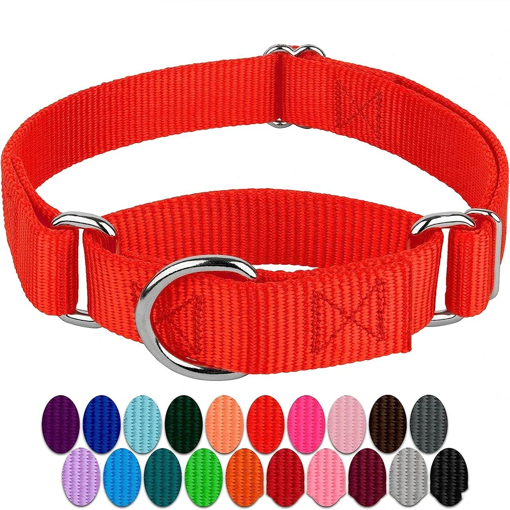 Dog Collar Adjustable Nylon Anti-Punch Pet Collar with Metal D Ring Strong & Durable for Medium & Large Dogs Training Dog Collar
Dog Collar Adjustable Nylon Anti-Punch Pet Collar with Metal D Ring Strong & Durable for Medium & Large Dogs Training Dog Collar