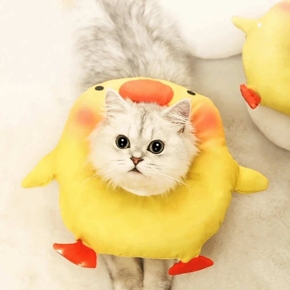 Adjustable Cat Elizabethan Collar Comfortable Cartoon Pet Protective Cone Collar Lightweight Soft Cat Recovery Collar
Adjustable Cat Elizabethan Collar Comfortable Cartoon Pet Protective Cone Collar Lightweight Soft Cat Recovery Collar