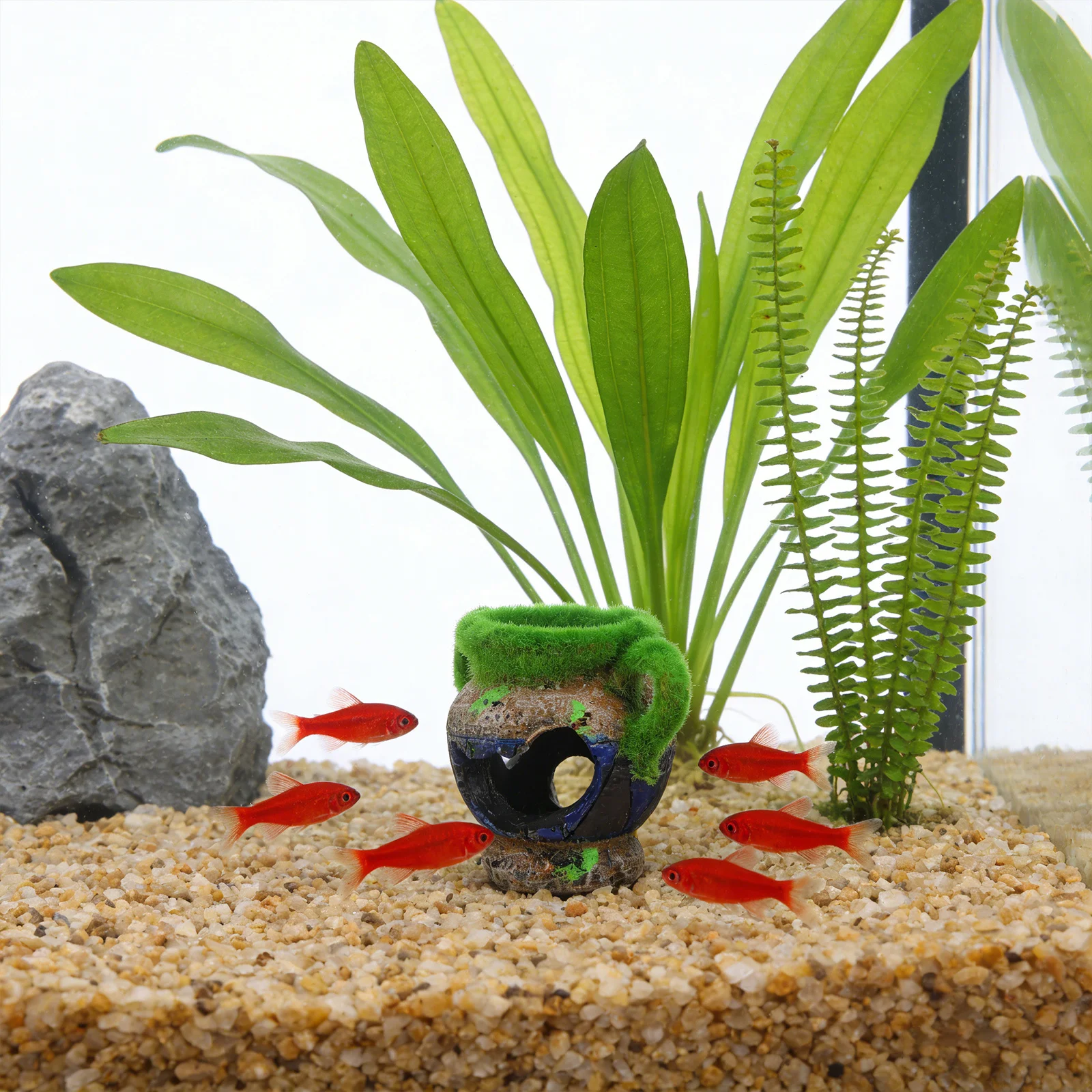 1Pcs Resin Flocking Aquarium Flowerpot Water Tank Hiding Cave Decor Design for Freshwater Saltwater Vivid Lifelike
1Pcs Resin Flocking Aquarium Flowerpot Water Tank Hiding Cave Decor Design for Freshwater Saltwater Vivid Lifelike