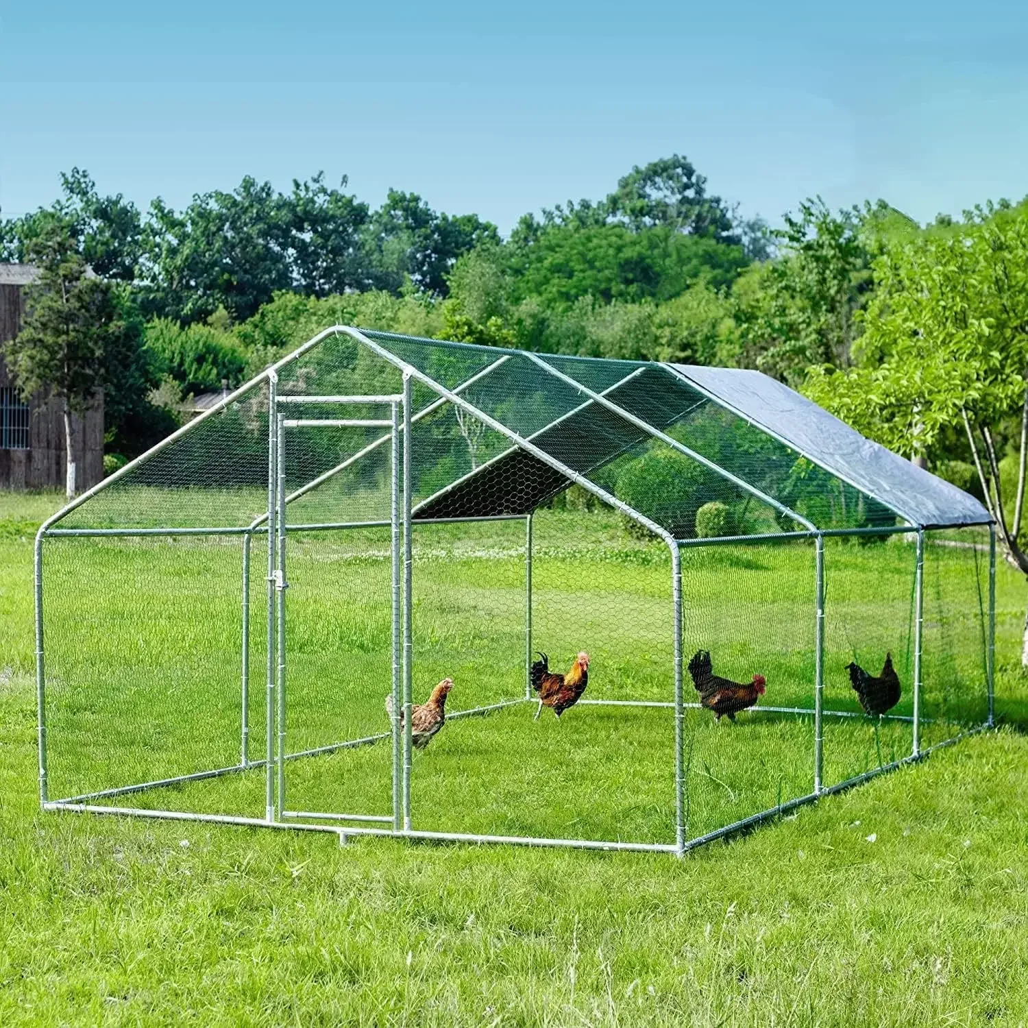 Walk In Poultry Cage Metal Chicken Coop With Run Outdoor Chicken Run Pen Waterproof Anti Uv Cover
Walk In Poultry Cage Metal Chicken Coop With Run Outdoor Chicken Run Pen Waterproof Anti Uv Cover