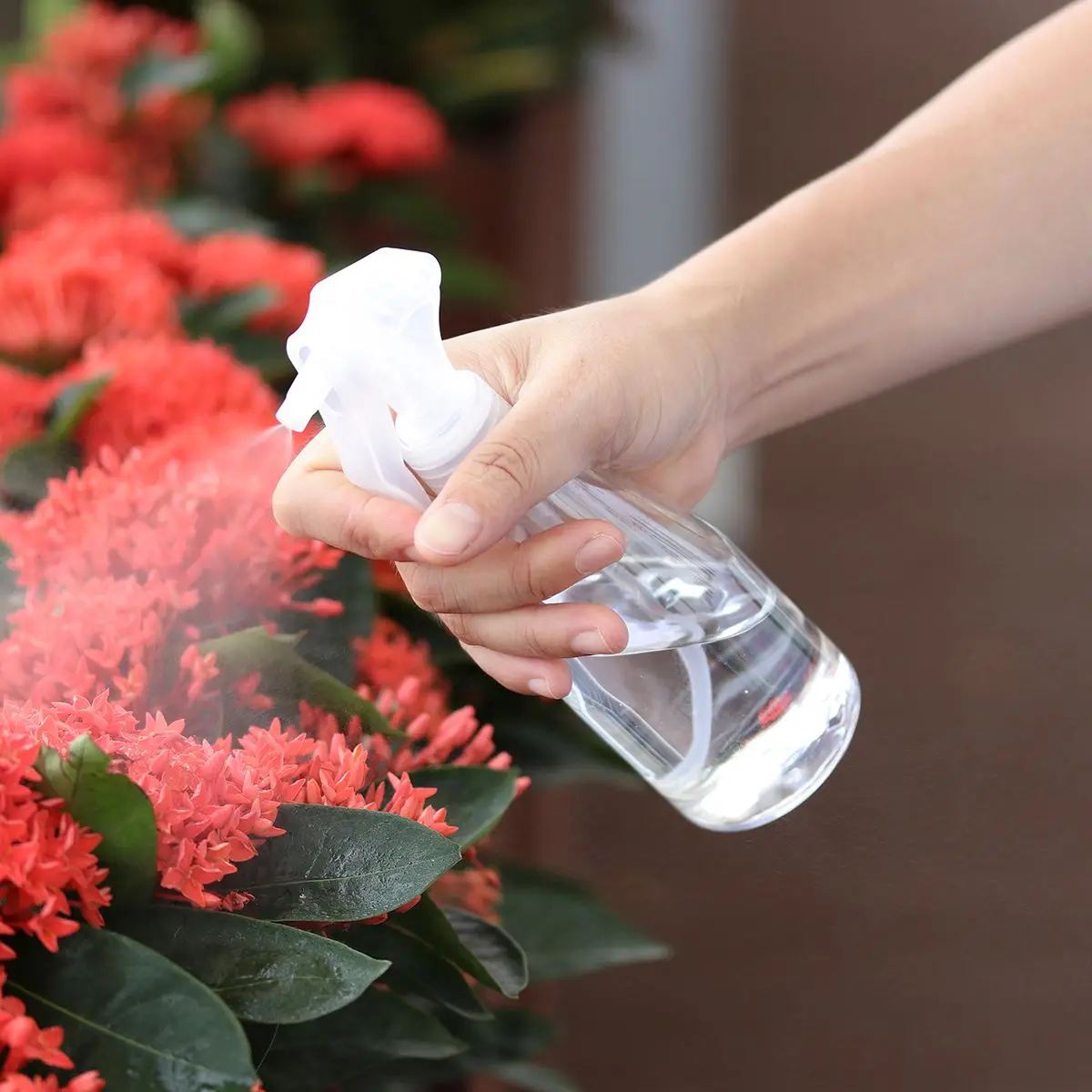 3Pcs Spray Bottle for Garden Mini Handheld Misting Sprayer Leak Proof Plants Cleaning Products Plastic Container Gardening Tool
3Pcs Spray Bottle for Garden Mini Handheld Misting Sprayer Leak Proof Plants Cleaning Products Plastic Container Gardening Tool